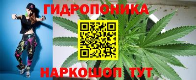 шишки Краснодар