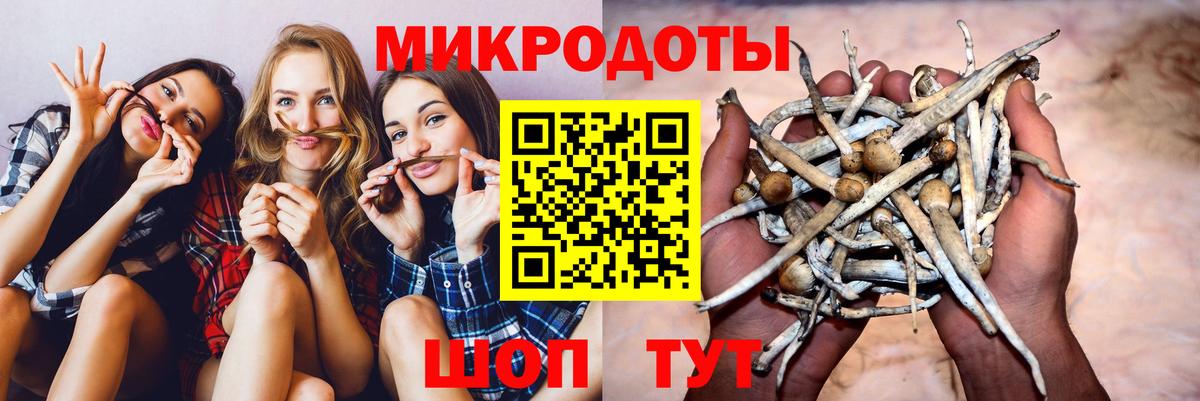 Галлюциногенные грибы Psilocybe  Вход с VPN  Шадринск  Псилоцибиновые грибы Cubensis 